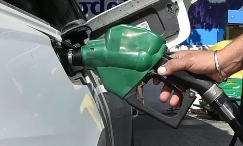 Govt bars bulk industrial petrol, diesel purchases through petrol pumps