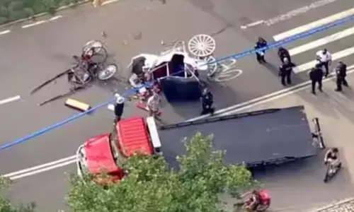 Indian teenager dies in horse carriage accident during his first trip to NY