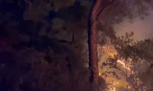 Two forest fires break out in HPs Dharamshala
