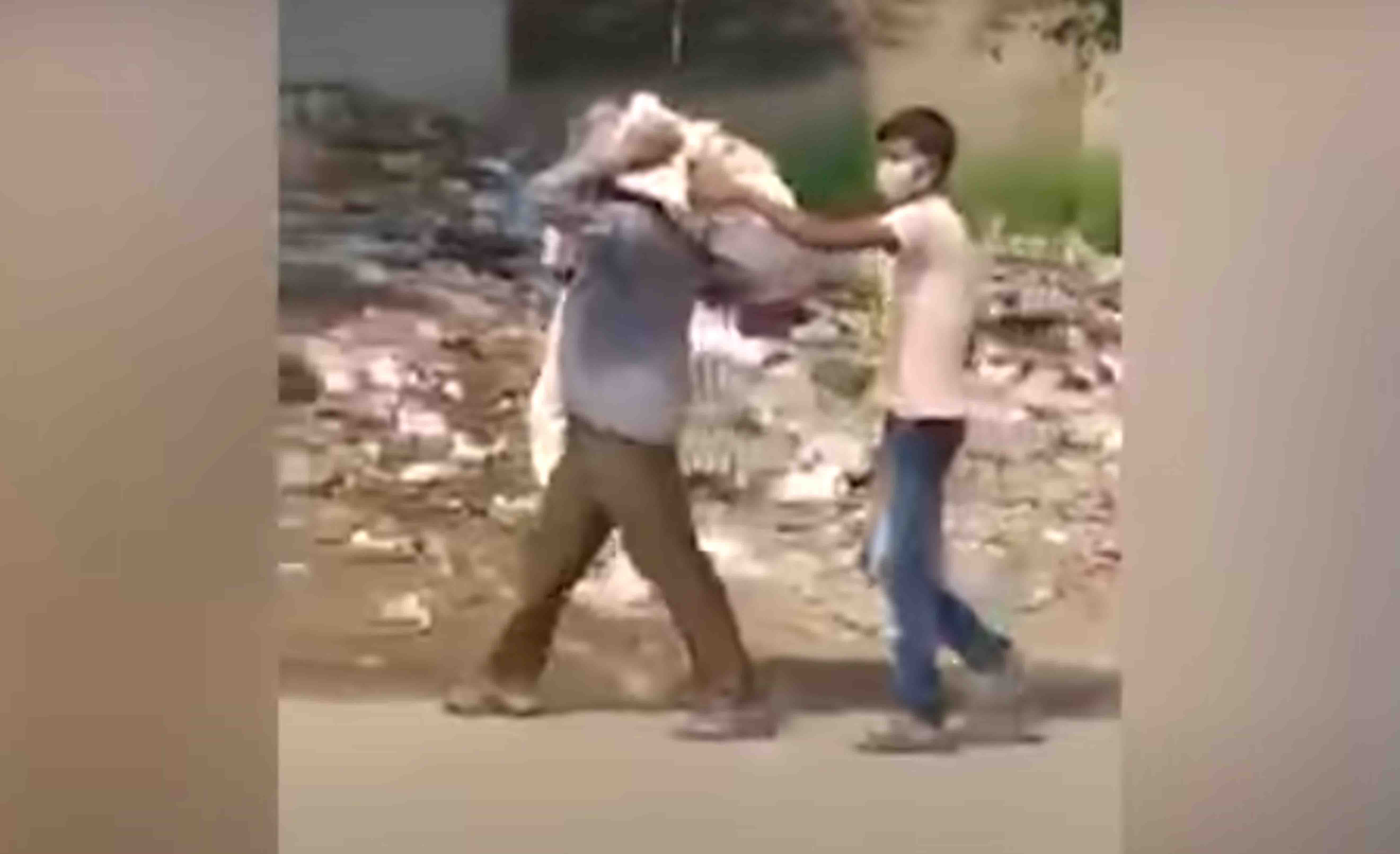 Punjab: Man carries 11-year-old daughters body on shoulders for cremation, video goes viral
